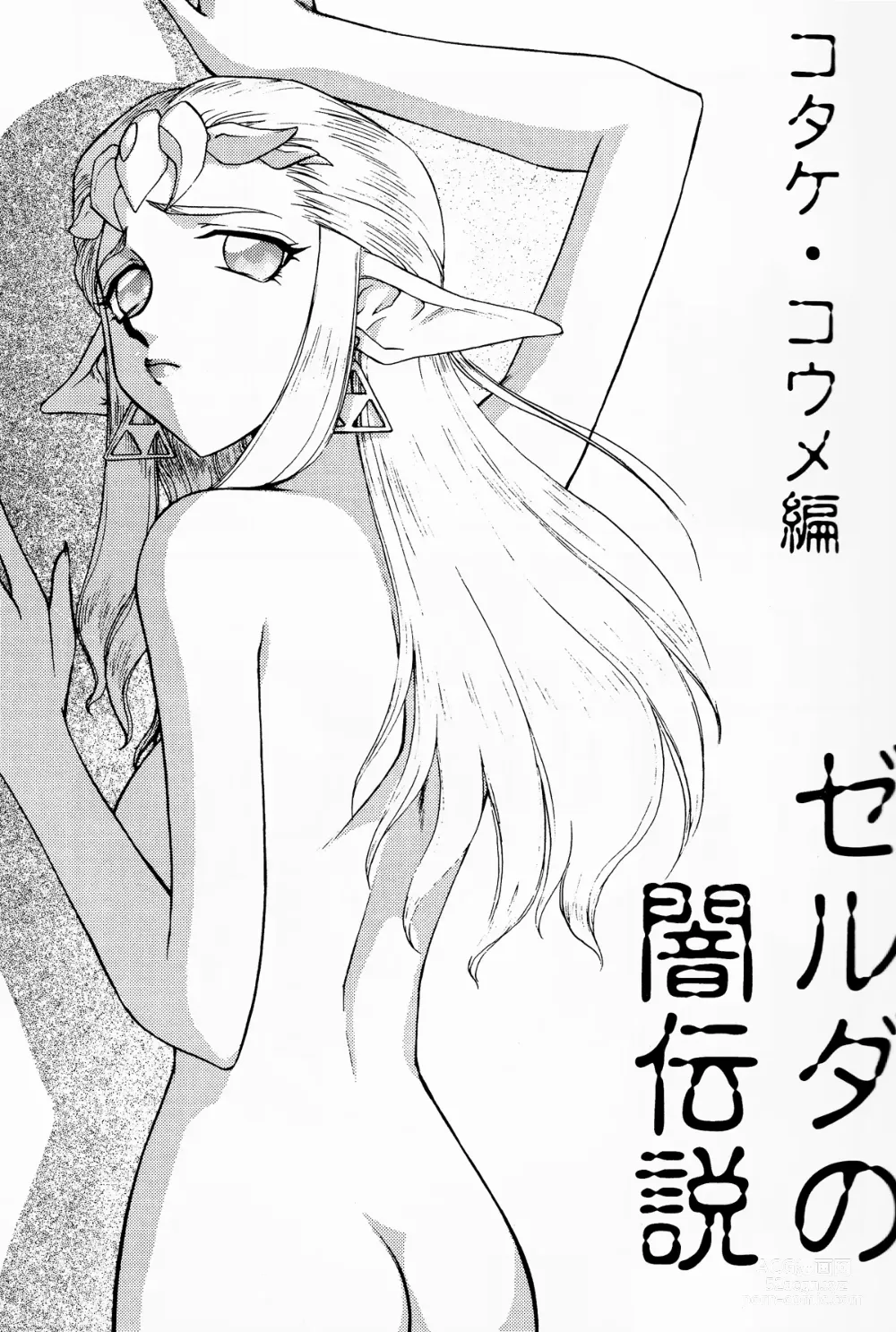 Page 6 of doujinshi NISE Zelda no Densetsu Shinshou