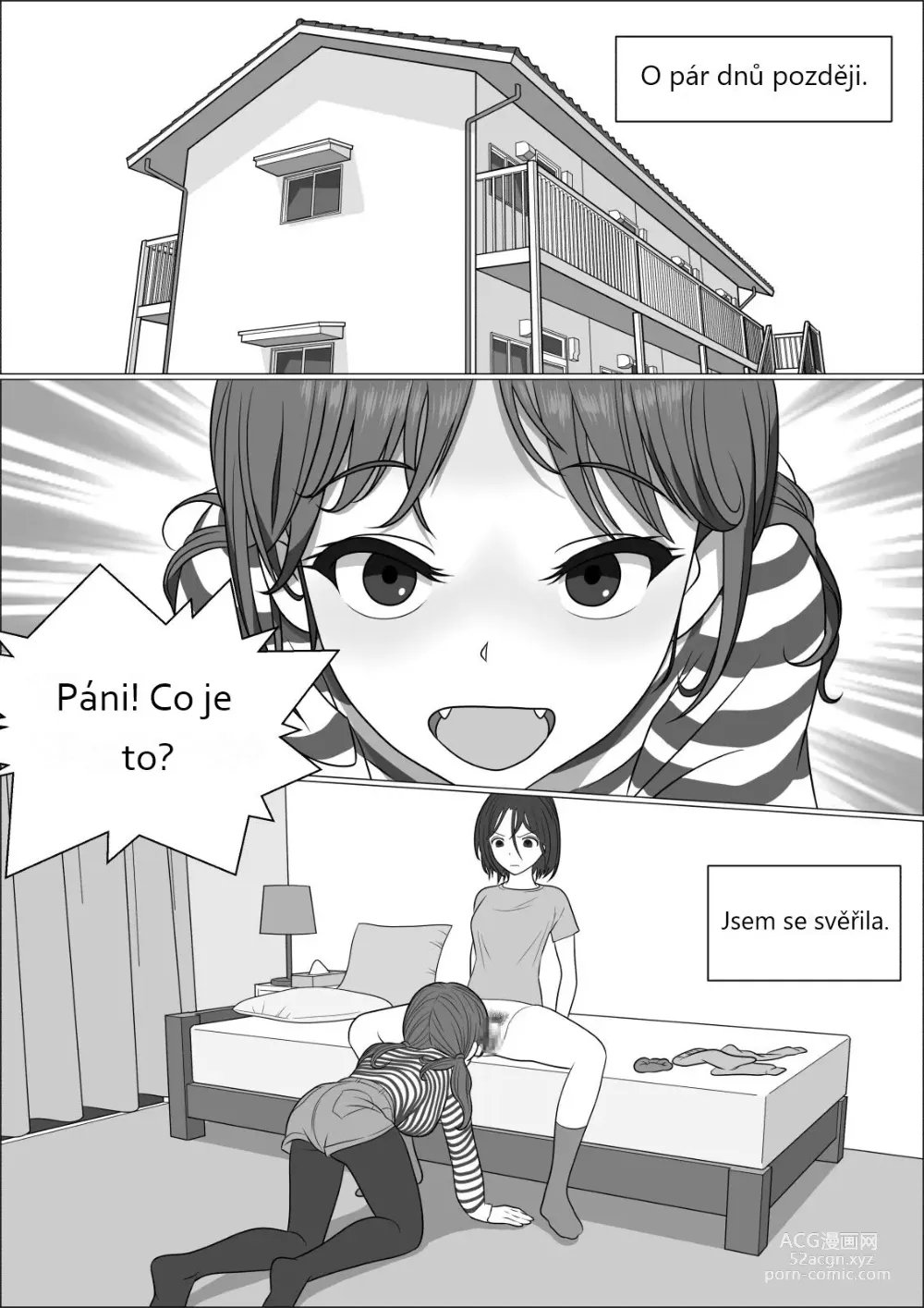 Page 18 of doujinshi CHINPO LADY An Otaku Girl Grows a Dick