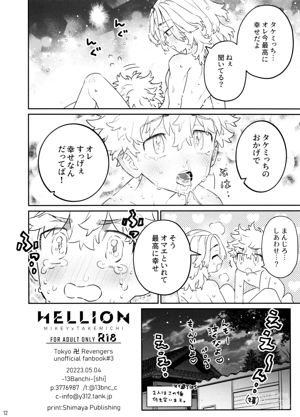 Page 12 of doujinshi HELLION