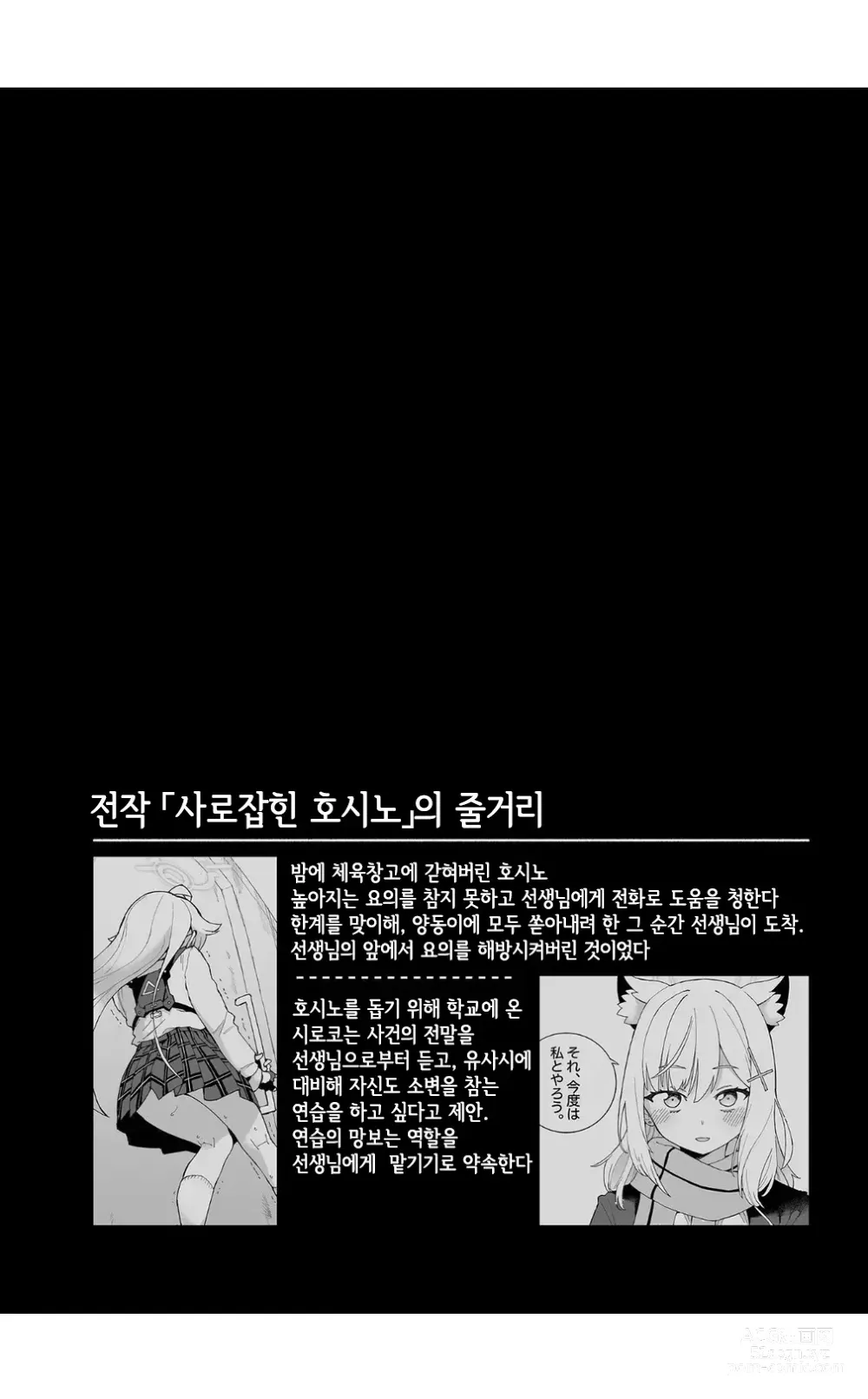 Page 3 of doujinshi 늑대의 물