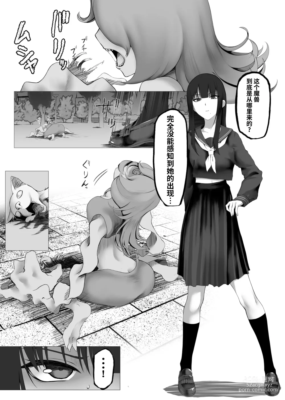 Page 4 of doujinshi Mahou Shoujo Dengeki Zeme