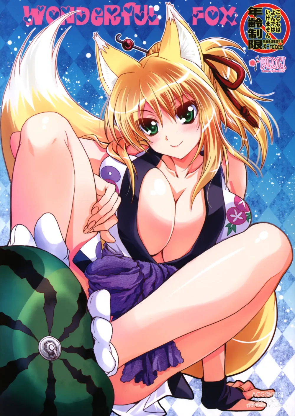 Page 1 of doujinshi Wonderful Fox