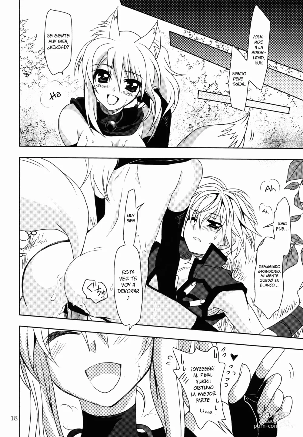Page 17 of doujinshi Wonderful Fox