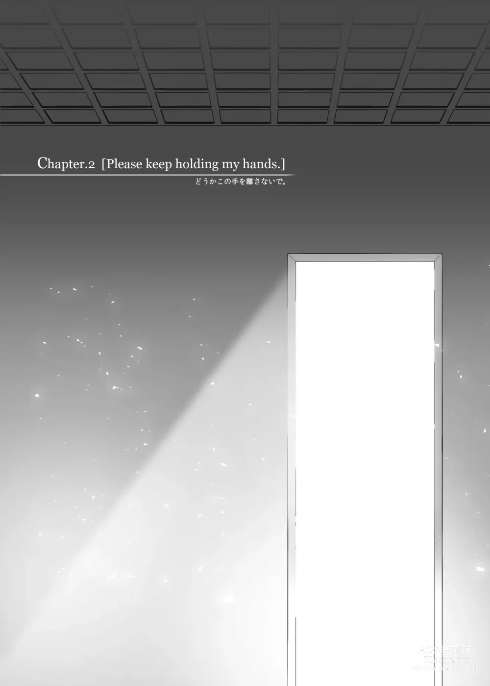 Page 28 of doujinshi Lost Arcadia