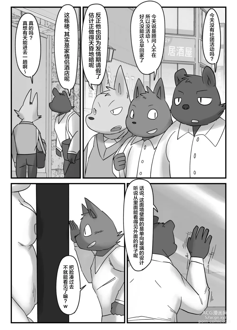 Page 20 of doujinshi Muscular Bull Teacher & Chubby Tig