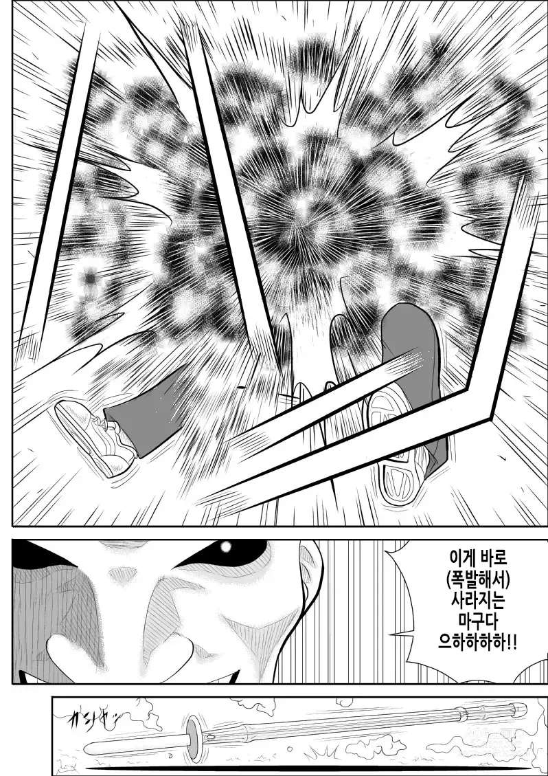 Page 13 of doujinshi 배틀 티처 타츠코