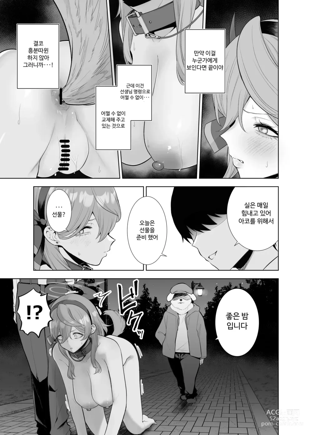 Page 4 of doujinshi Ako Sanpo
