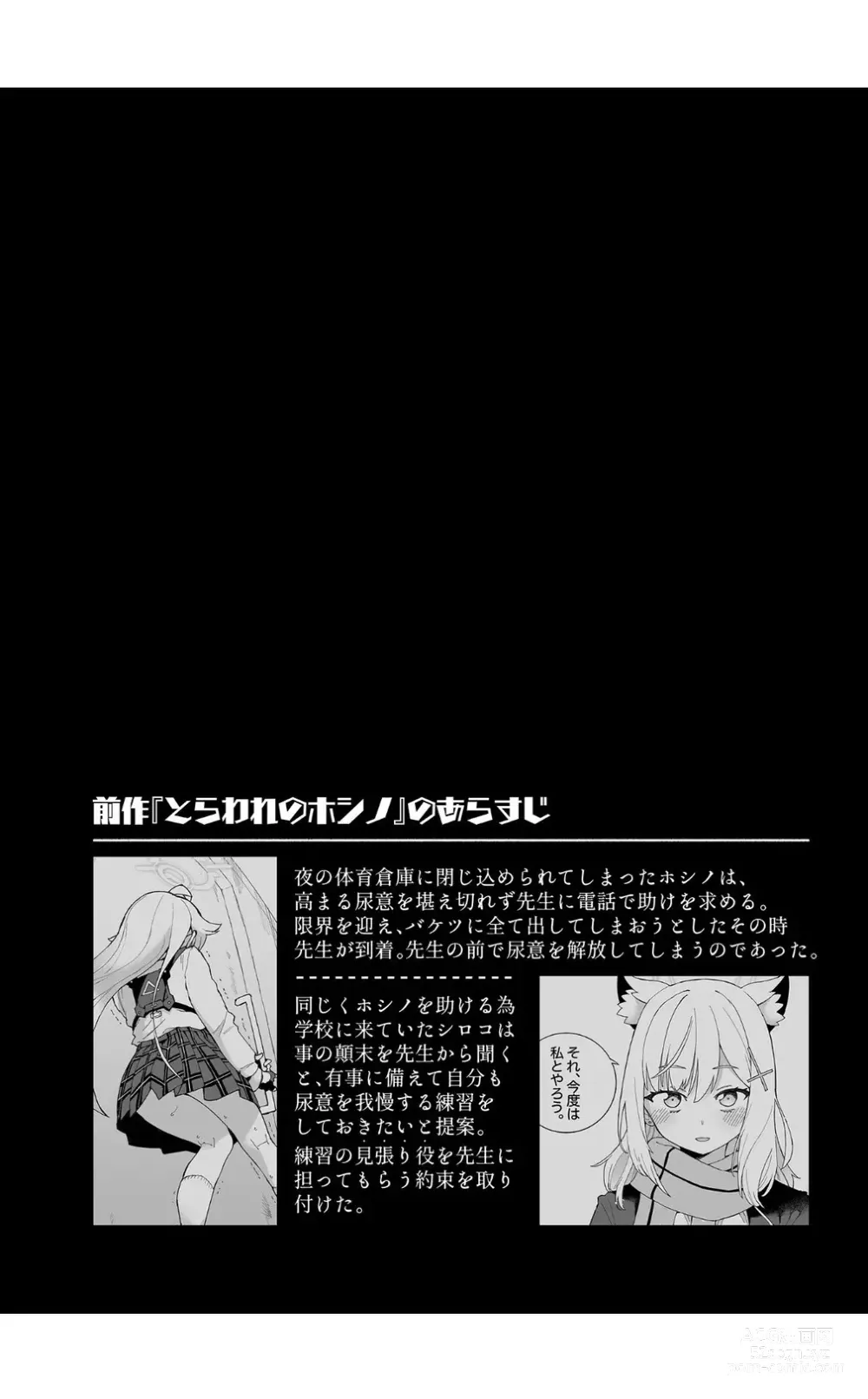 Page 4 of doujinshi OOkami no Mizu