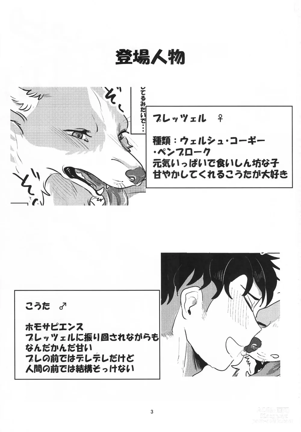 Page 3 of doujinshi Enchanted Bread / Cat No Shuukai Jo