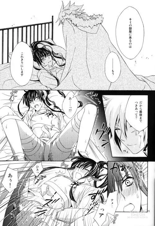 Page 14 of doujinshi Seishokusha no Hinkaku