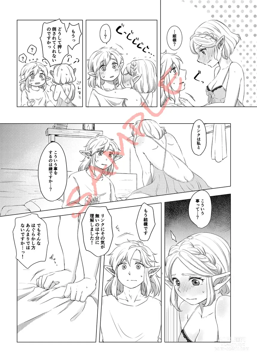 Page 4 of doujinshi 2/ 11 Shinkan `oshiete! Zeruda sensei sanpuru