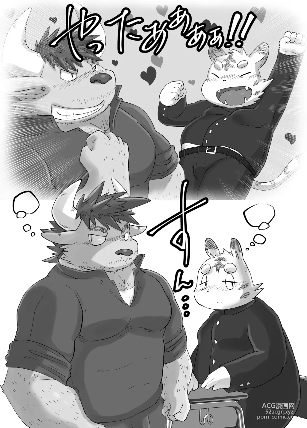 Page 3 of doujinshi Muscular Bull Teacher & Chubby Tiger Student 3