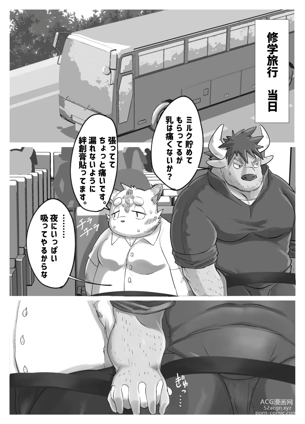 Page 4 of doujinshi Muscular Bull Teacher & Chubby Tiger Student 3