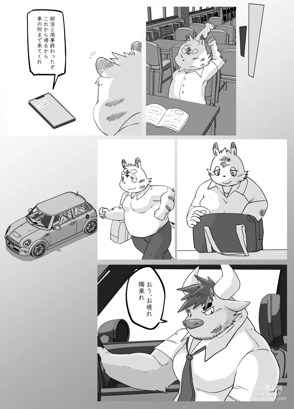 Page 10 of doujinshi Muscular Bull Teacher & Chubby Tiger Student 2
