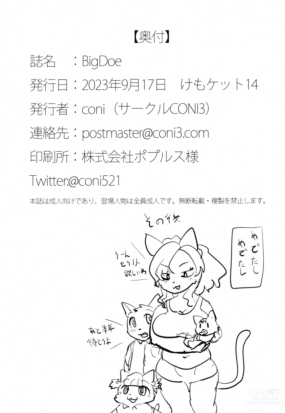 Page 17 of doujinshi BigDoe