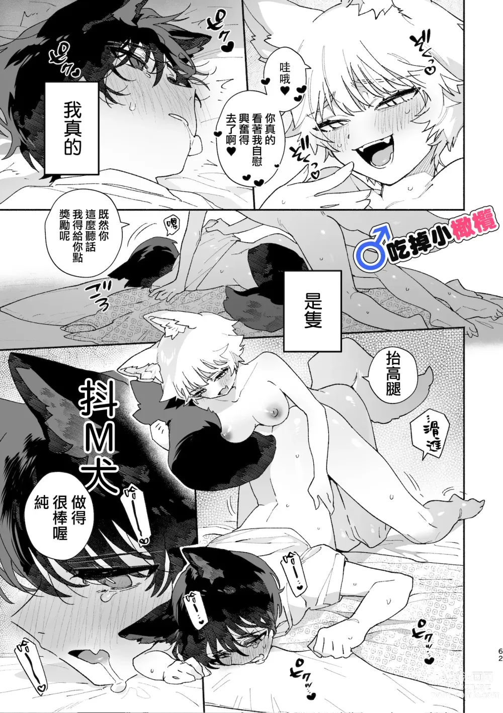 Page 62 of doujinshi ♂ ga uke. Koyōte-chan × kai inu-kun｜♂吃掉甲斐犬。小郊狼X甲斐犬同学