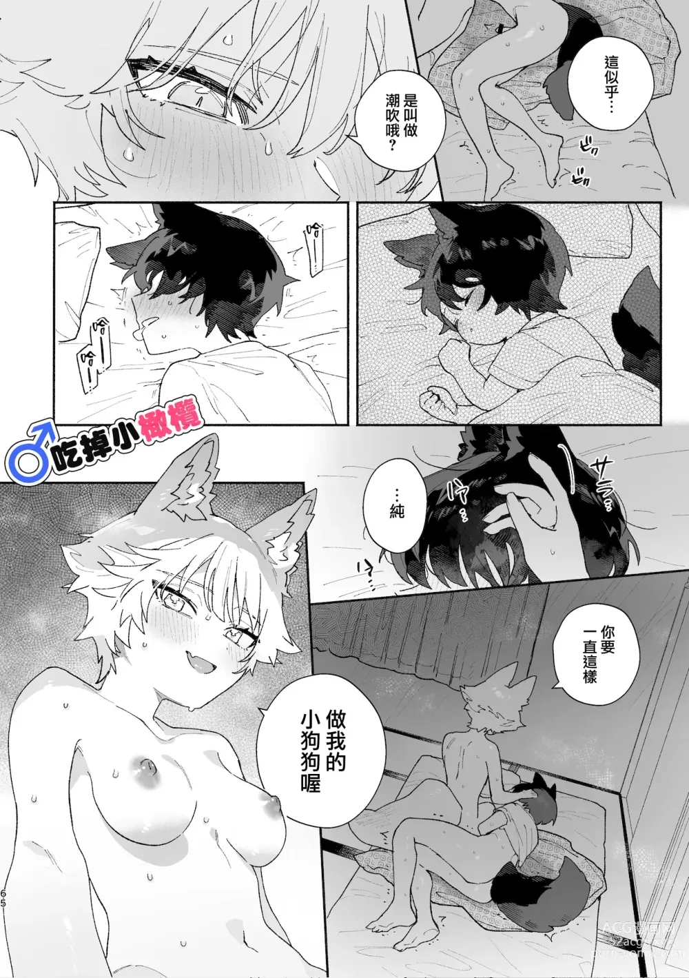 Page 65 of doujinshi ♂ ga uke. Koyōte-chan × kai inu-kun｜♂吃掉甲斐犬。小郊狼X甲斐犬同学