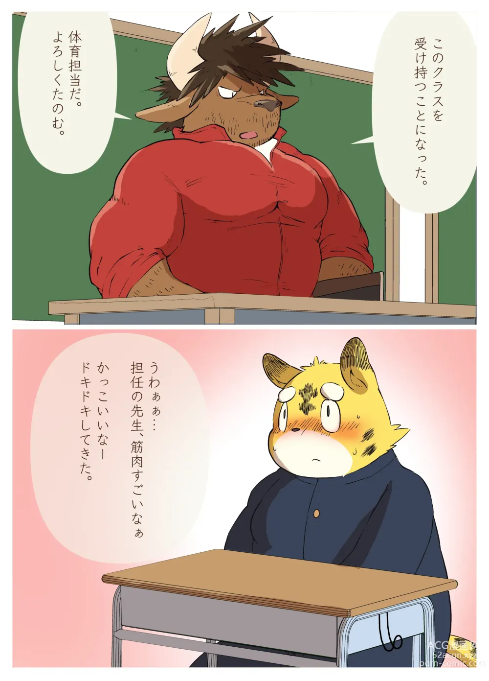Page 2 of doujinshi Muscular Bull Teacher & Chubby Tiger Student