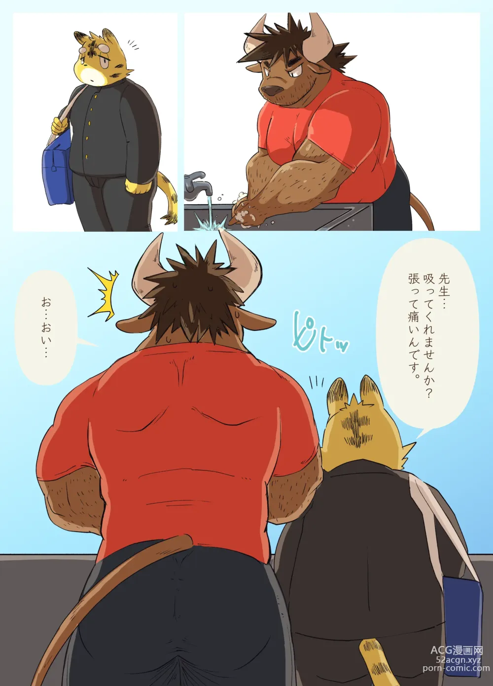 Page 11 of doujinshi Muscular Bull Teacher & Chubby Tiger Student