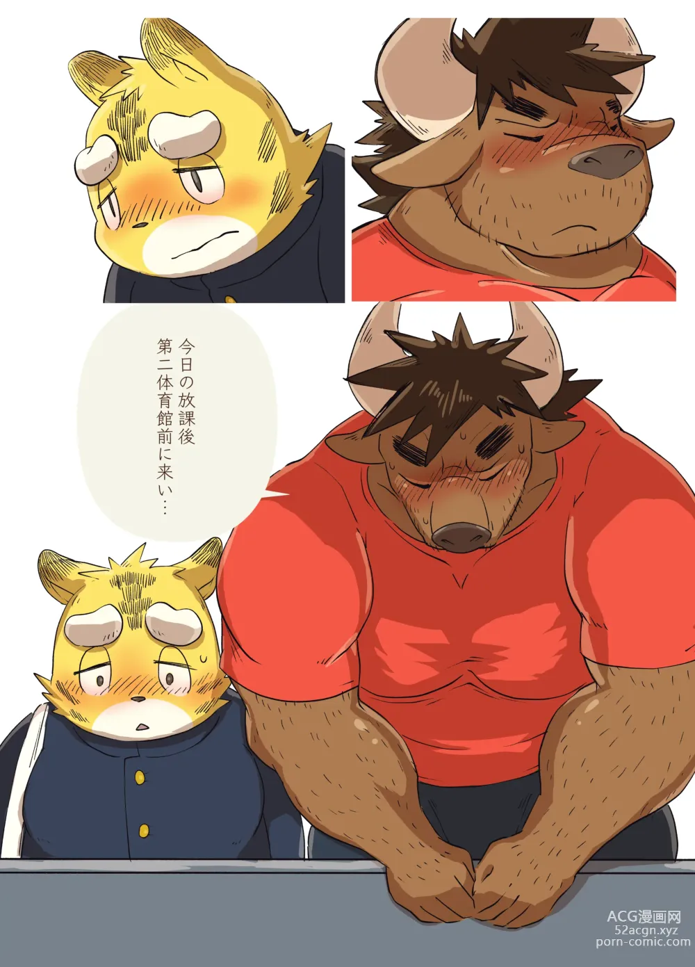 Page 12 of doujinshi Muscular Bull Teacher & Chubby Tiger Student