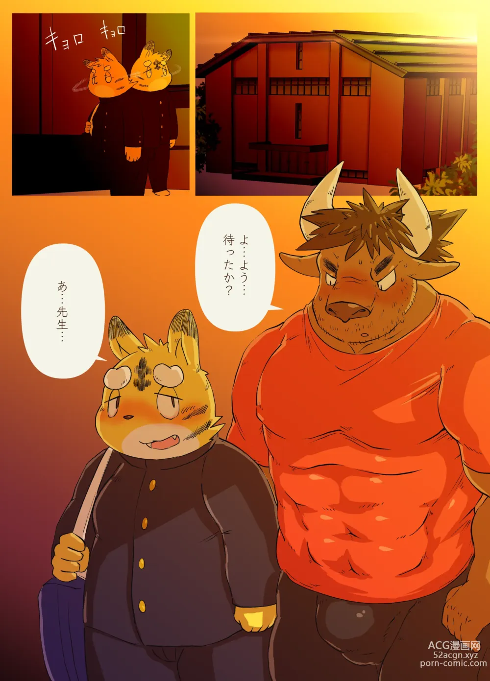 Page 13 of doujinshi Muscular Bull Teacher & Chubby Tiger Student