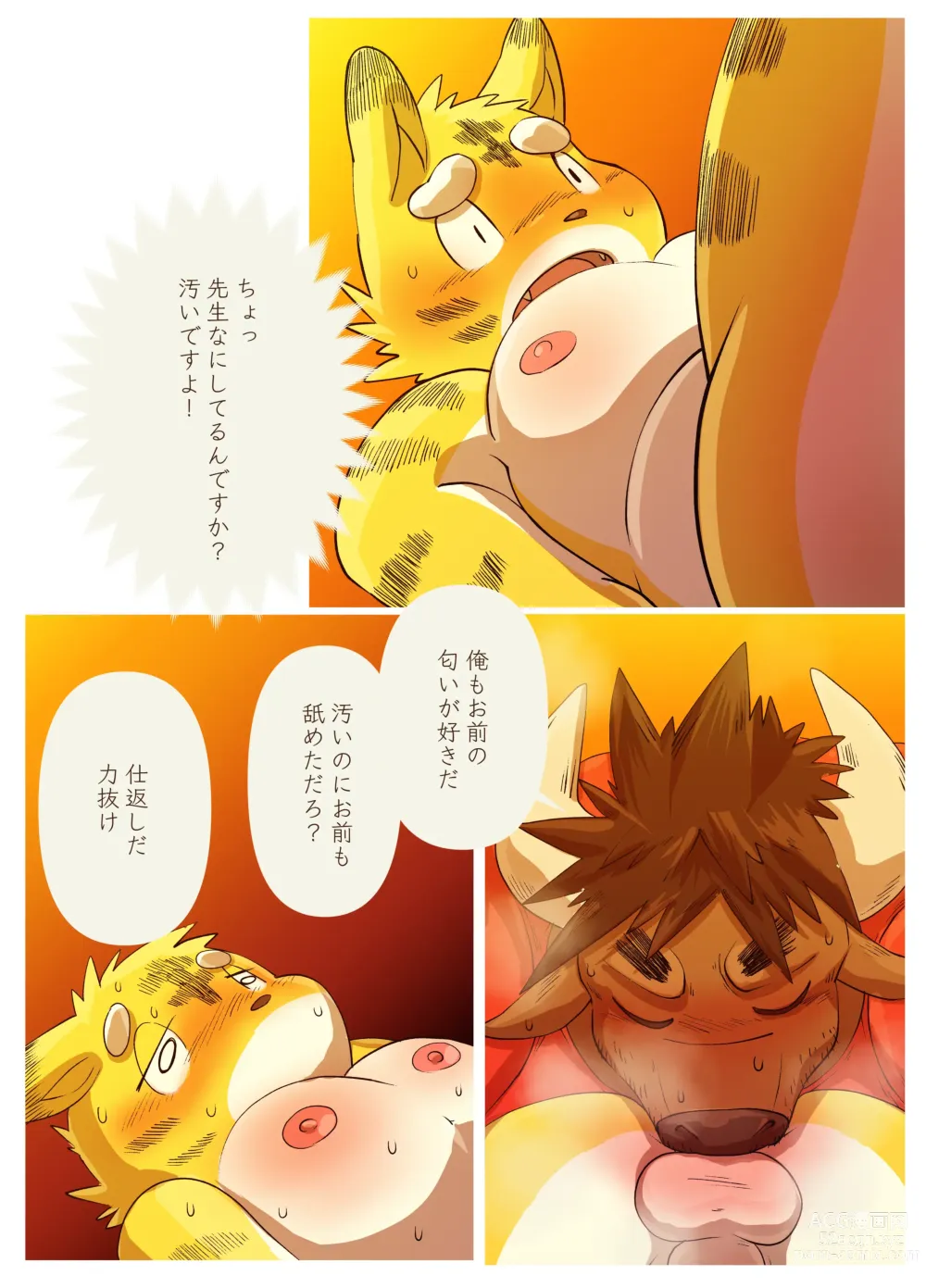 Page 28 of doujinshi Muscular Bull Teacher & Chubby Tiger Student