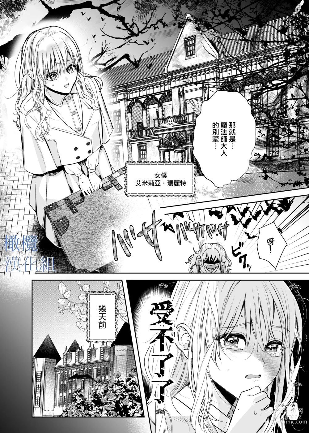 Page 7 of doujinshi majutsu-shi no hana ori｜魔法师的花牢