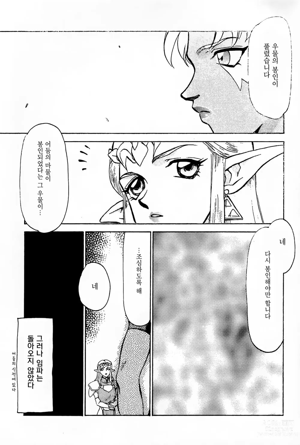 Page 10 of doujinshi NISE Zelda no Densetsu Prologue