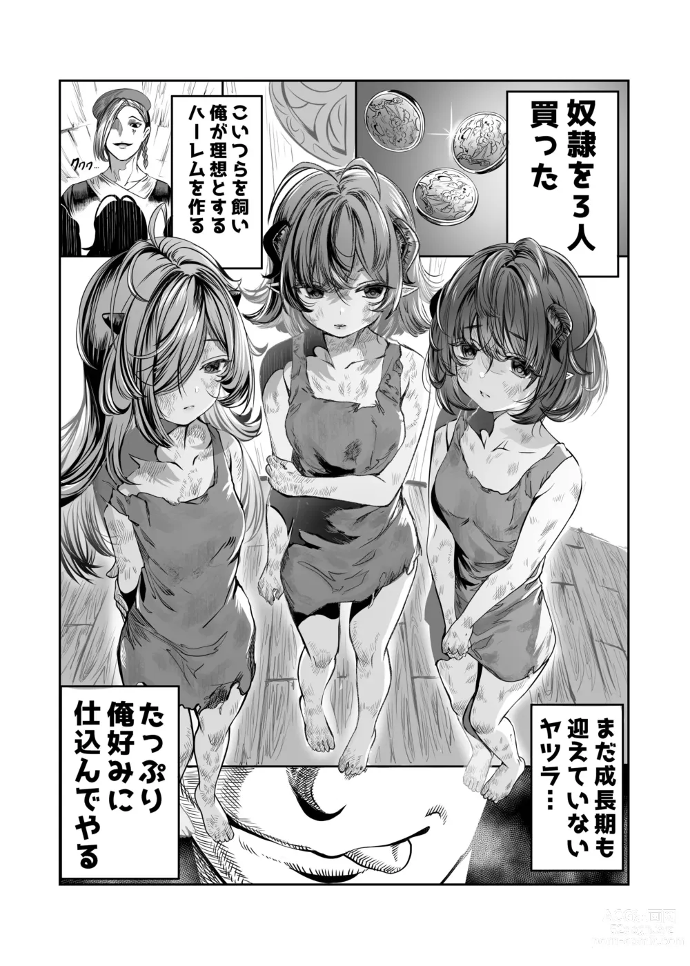 Page 2 of doujinshi Dorei o Choukyou shite Harem Tsukuru ~Sodateta Dorei-tachi to Junai Harem H suru made no Hanashi~ Manga Ban