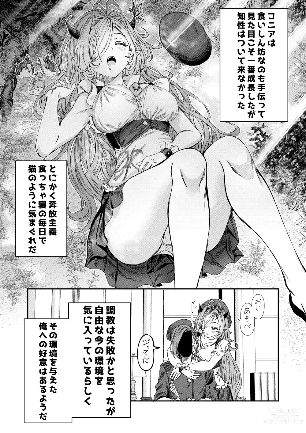 Page 26 of doujinshi Dorei o Choukyou shite Harem Tsukuru ~Sodateta Dorei-tachi to Junai Harem H suru made no Hanashi~ Manga Ban