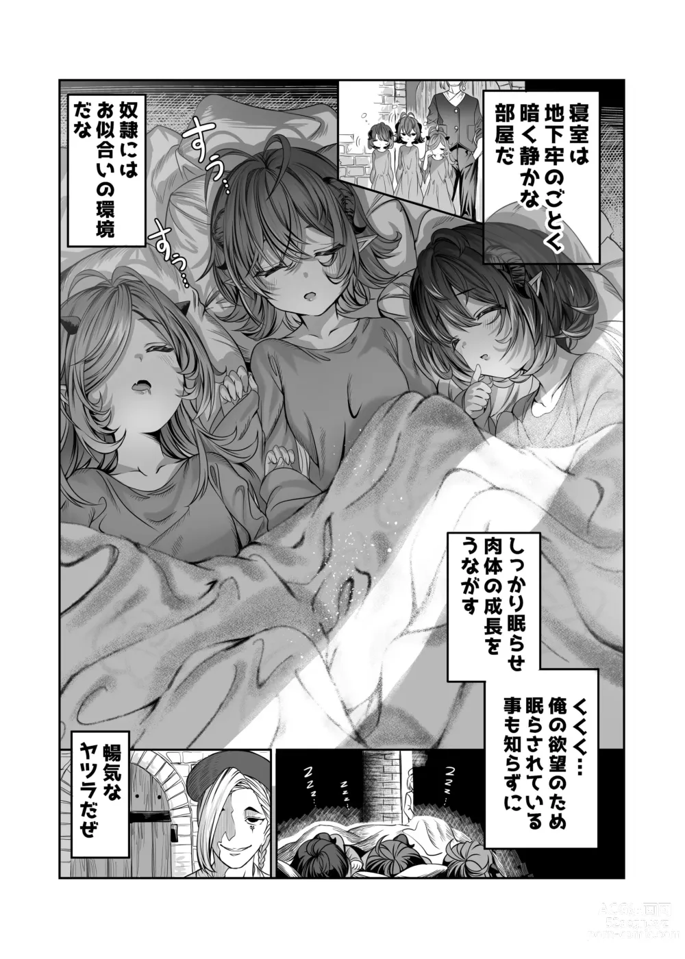 Page 5 of doujinshi Dorei o Choukyou shite Harem Tsukuru ~Sodateta Dorei-tachi to Junai Harem H suru made no Hanashi~ Manga Ban