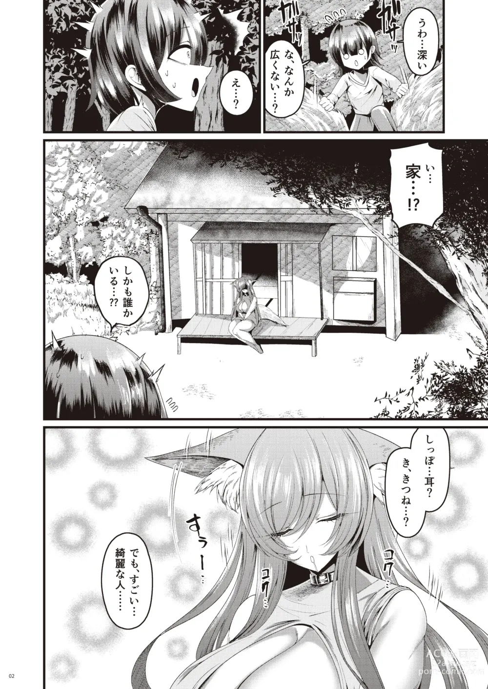 Page 3 of doujinshi Kumiho-san no Oumagadoki