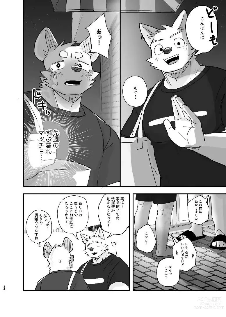 Page 24 of doujinshi Midnight Laundry