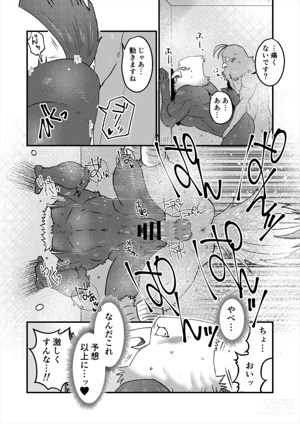 Page 43 of doujinshi AVIAN MANIAX