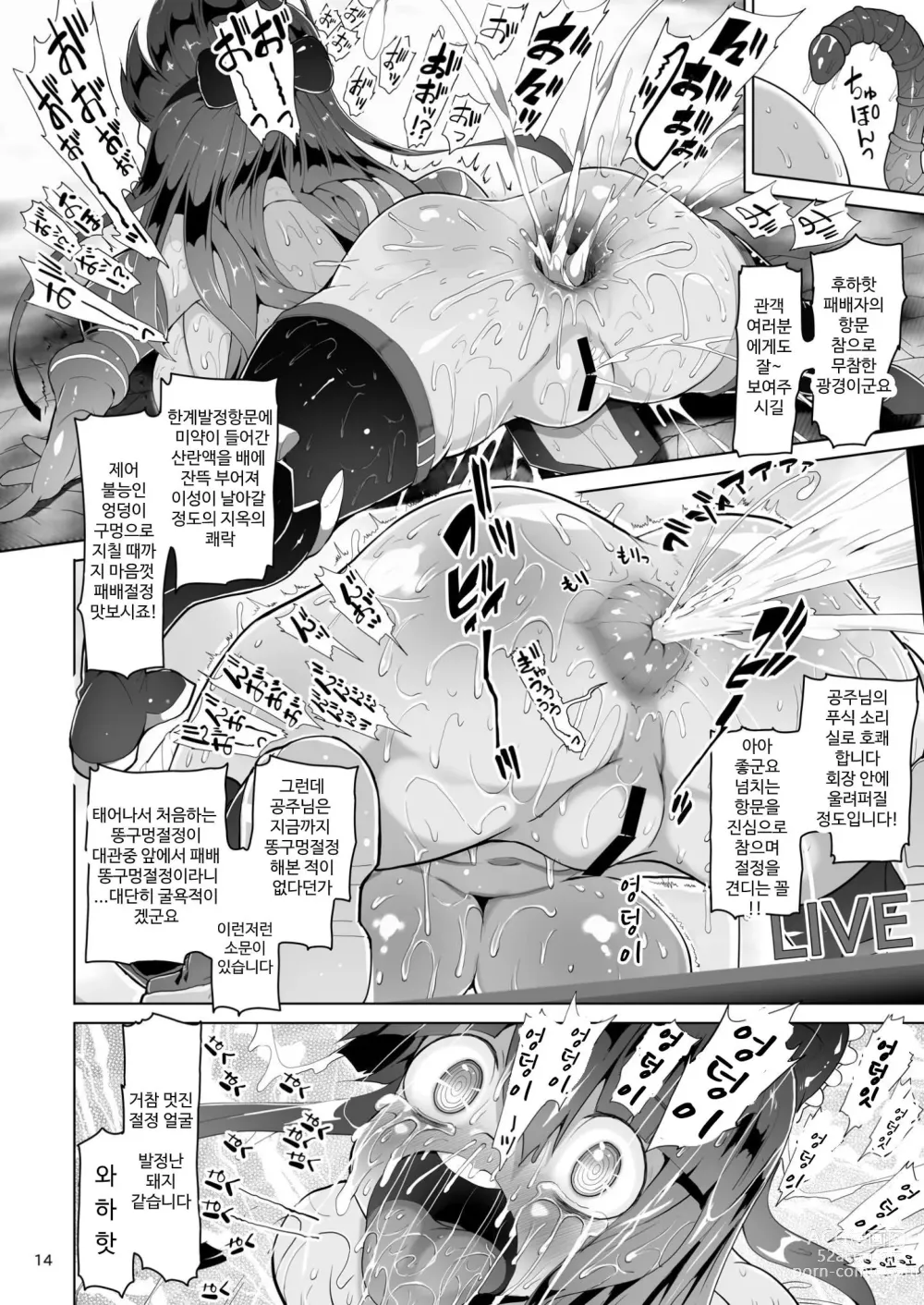 Page 13 of doujinshi Oshiri Toushi Cecilia