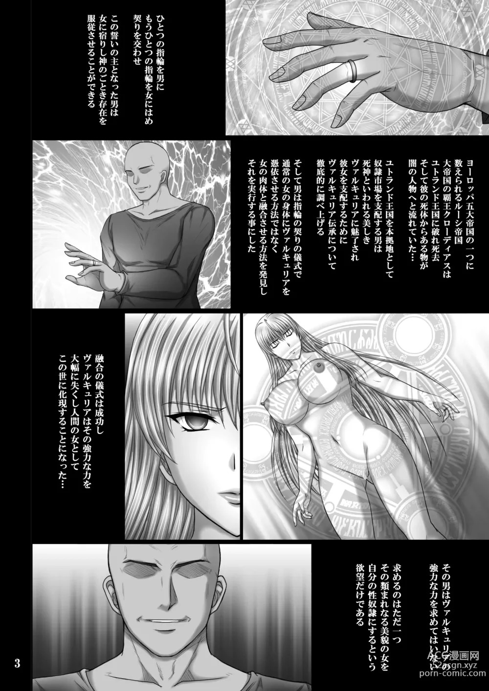 Page 3 of doujinshi Seido no Chigiri VALKYRIA SLAVE