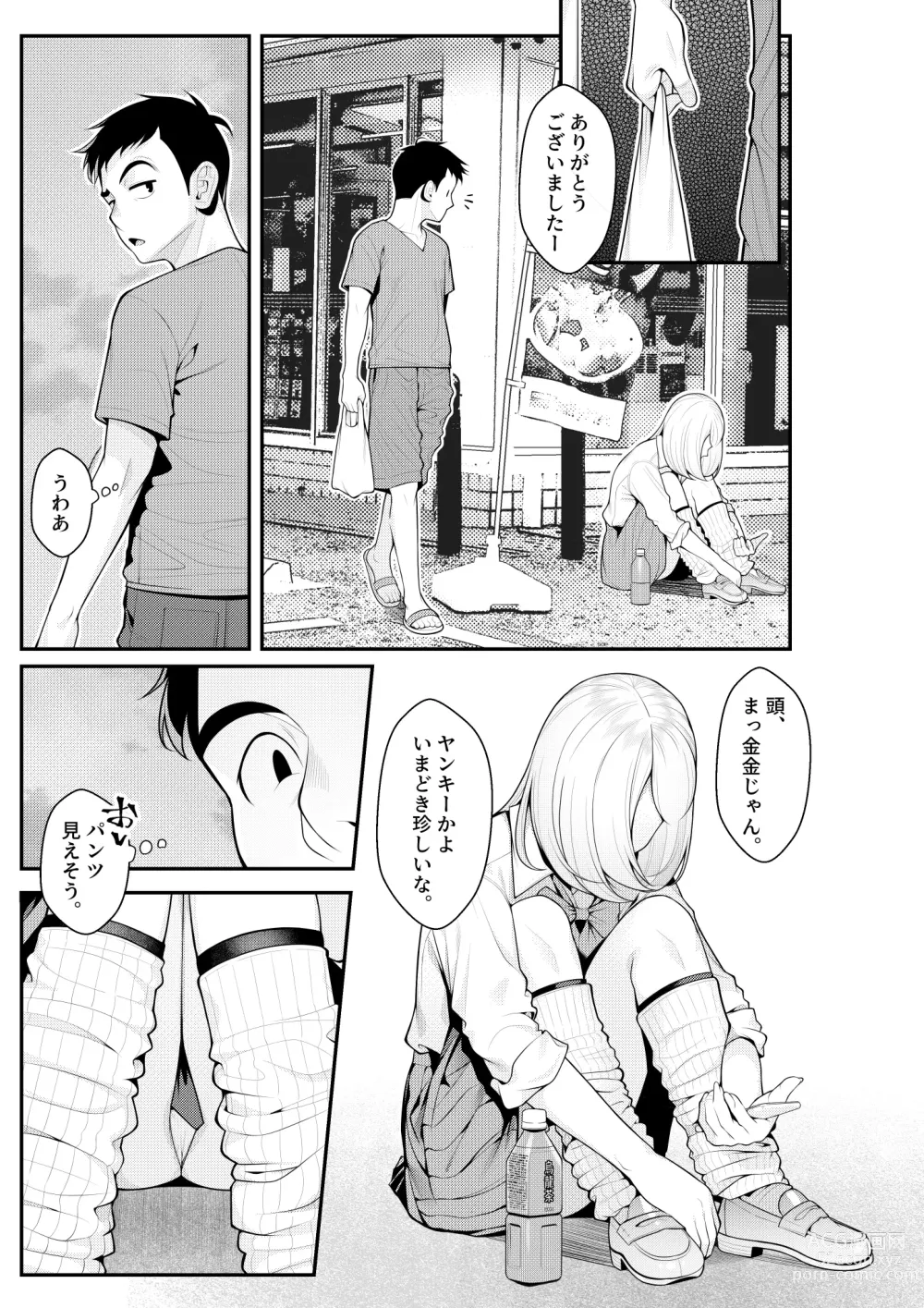 Page 5 of doujinshi Iede Gal o Hirottara Harem ni Natta Hanashi
