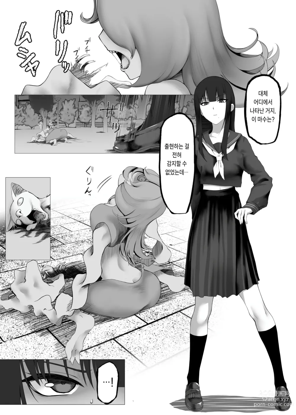 Page 4 of doujinshi 마법소녀 전격고문