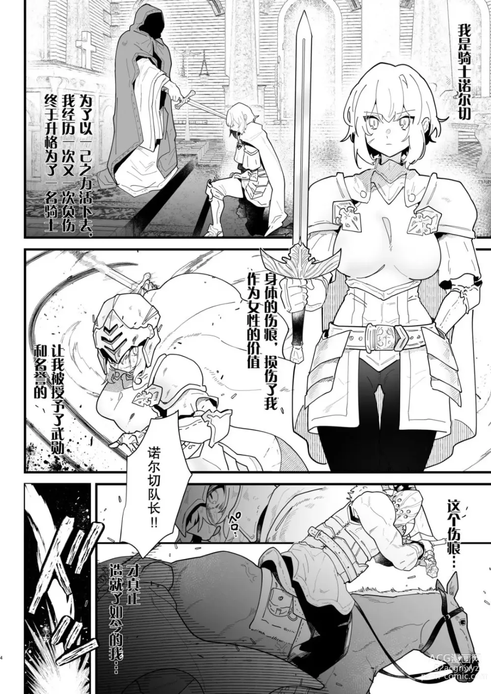 Page 3 of doujinshi Onna kishi noruche no junan (decensored)