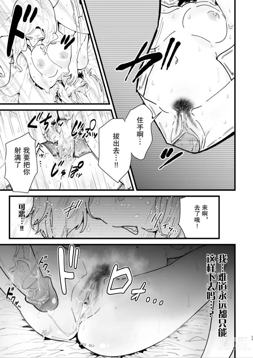 Page 28 of doujinshi Onna kishi noruche no junan (decensored)