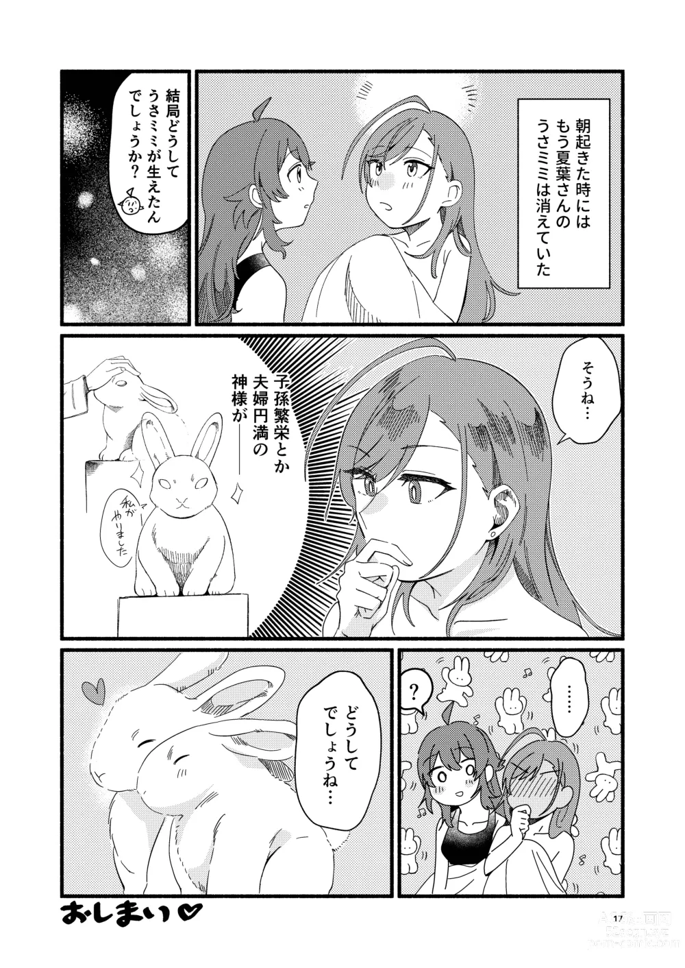 Page 17 of doujinshi Usagi no Ongaeshi