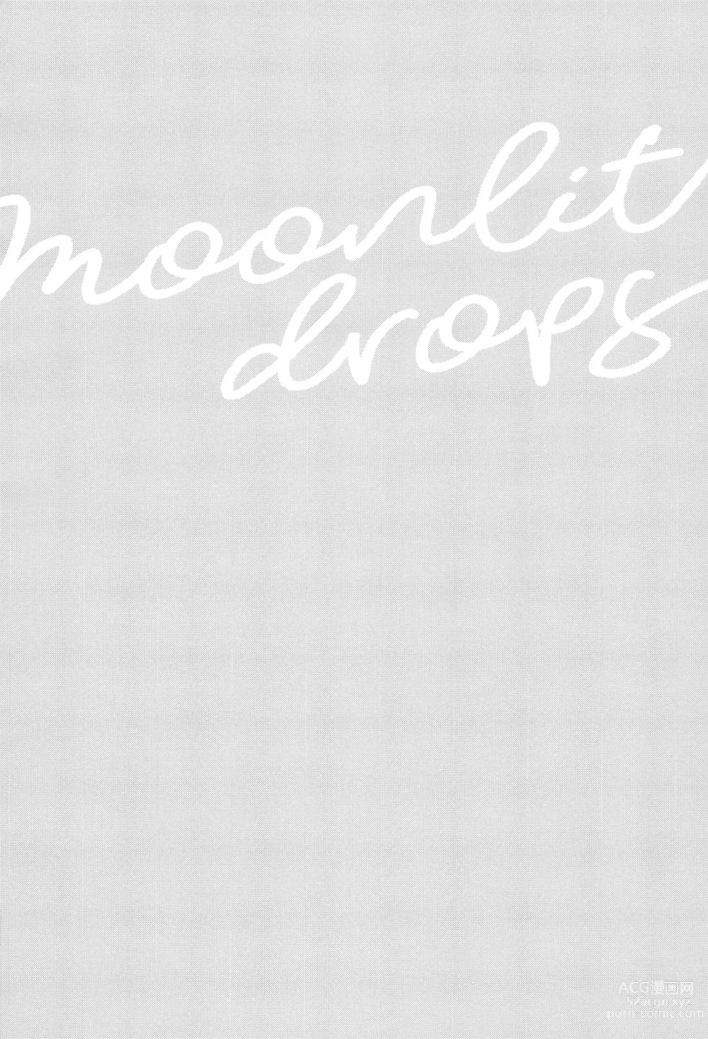 Page 3 of doujinshi Moonlit drops