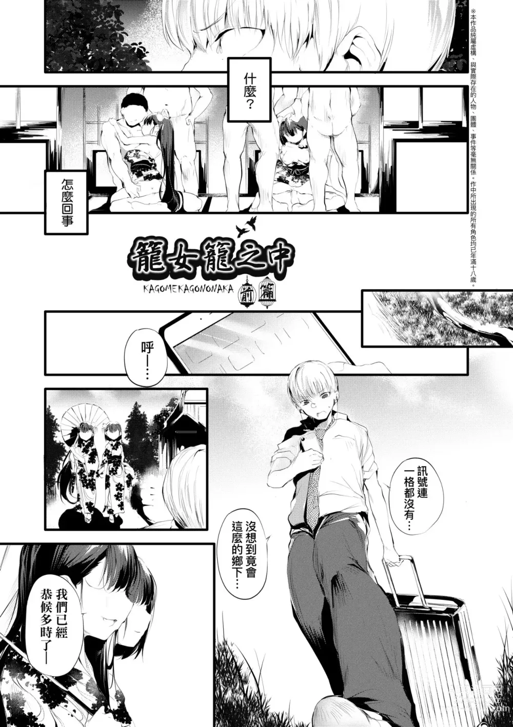 Page 12 of manga Shinme Tori - symmetry (decensored)