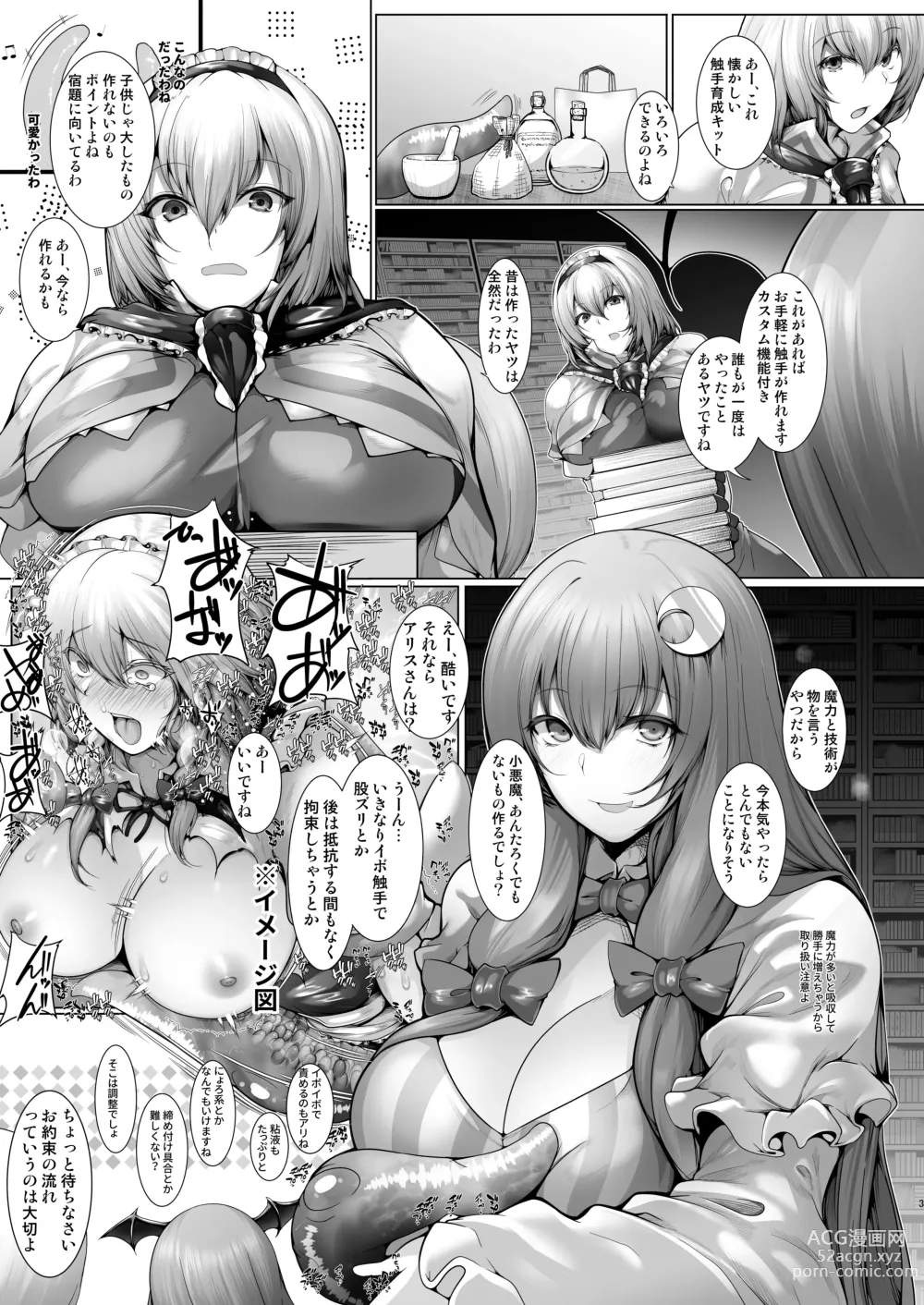 Page 2 of doujinshi Alice to Patchouli no Syokusyu