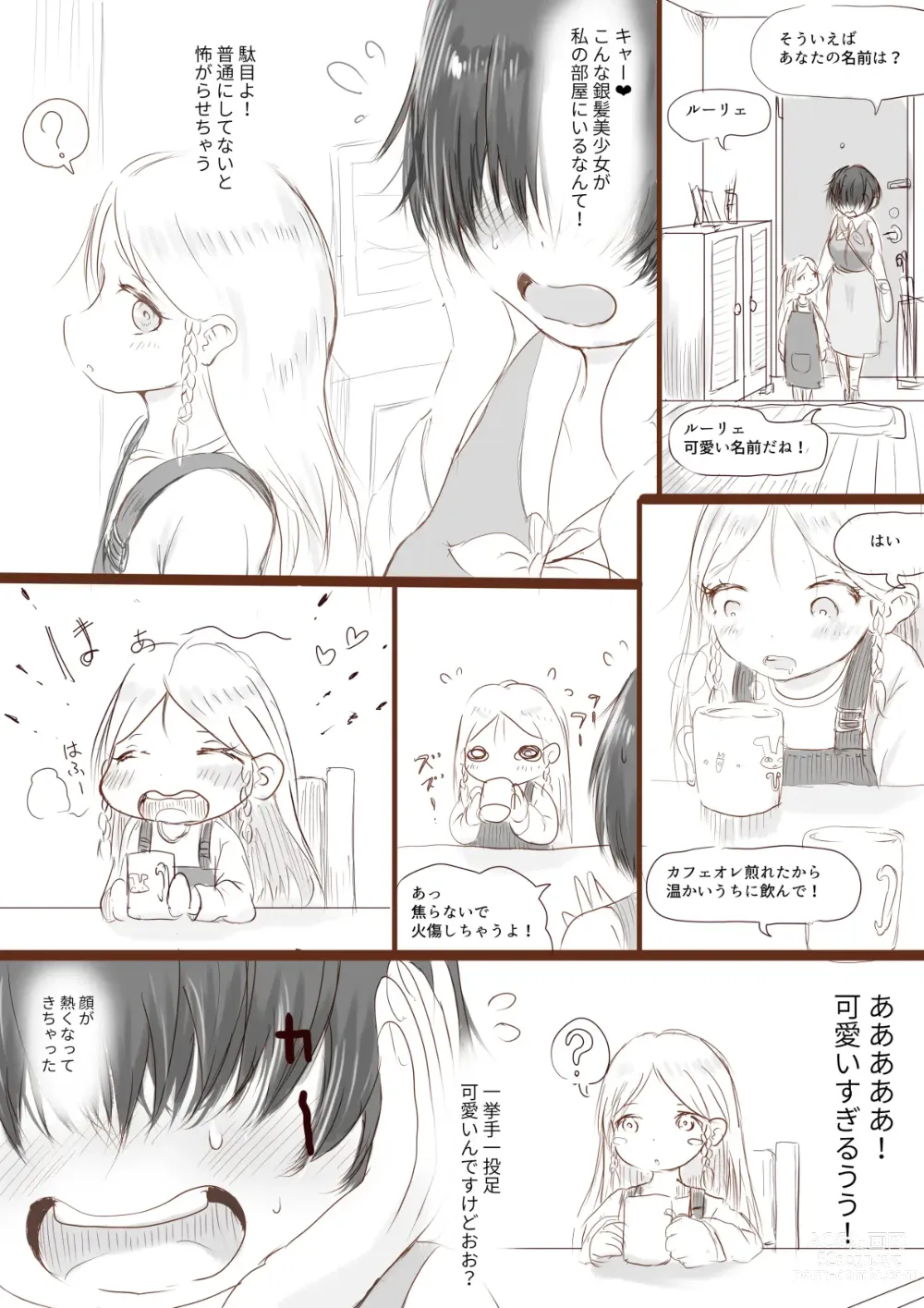 Page 4 of doujinshi Anraku-san wa Ginpatsu Half Shoujo o Iyashitai