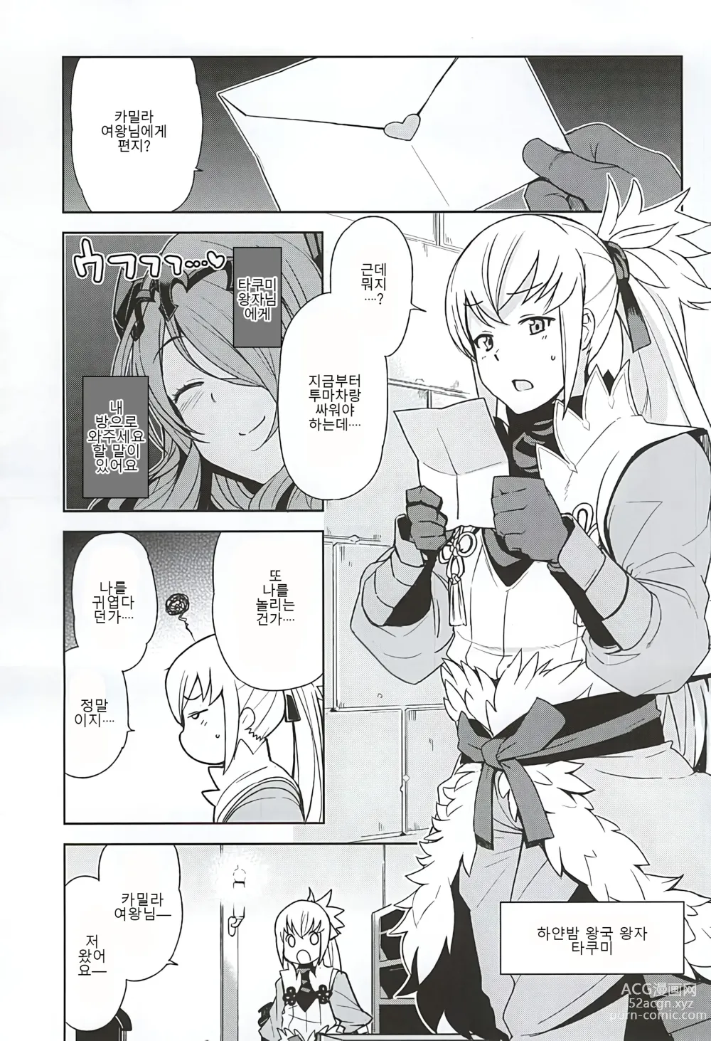 Page 3 of doujinshi MIDNIGHT PRINCESSES