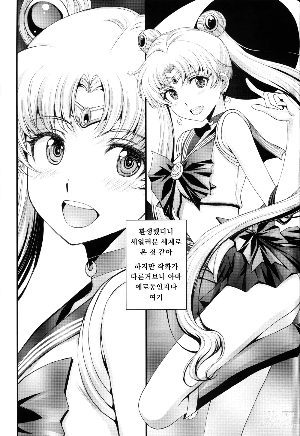 Page 2 of doujinshi Usagi no Junjou!? Chin Make Bishoujo Senshi!