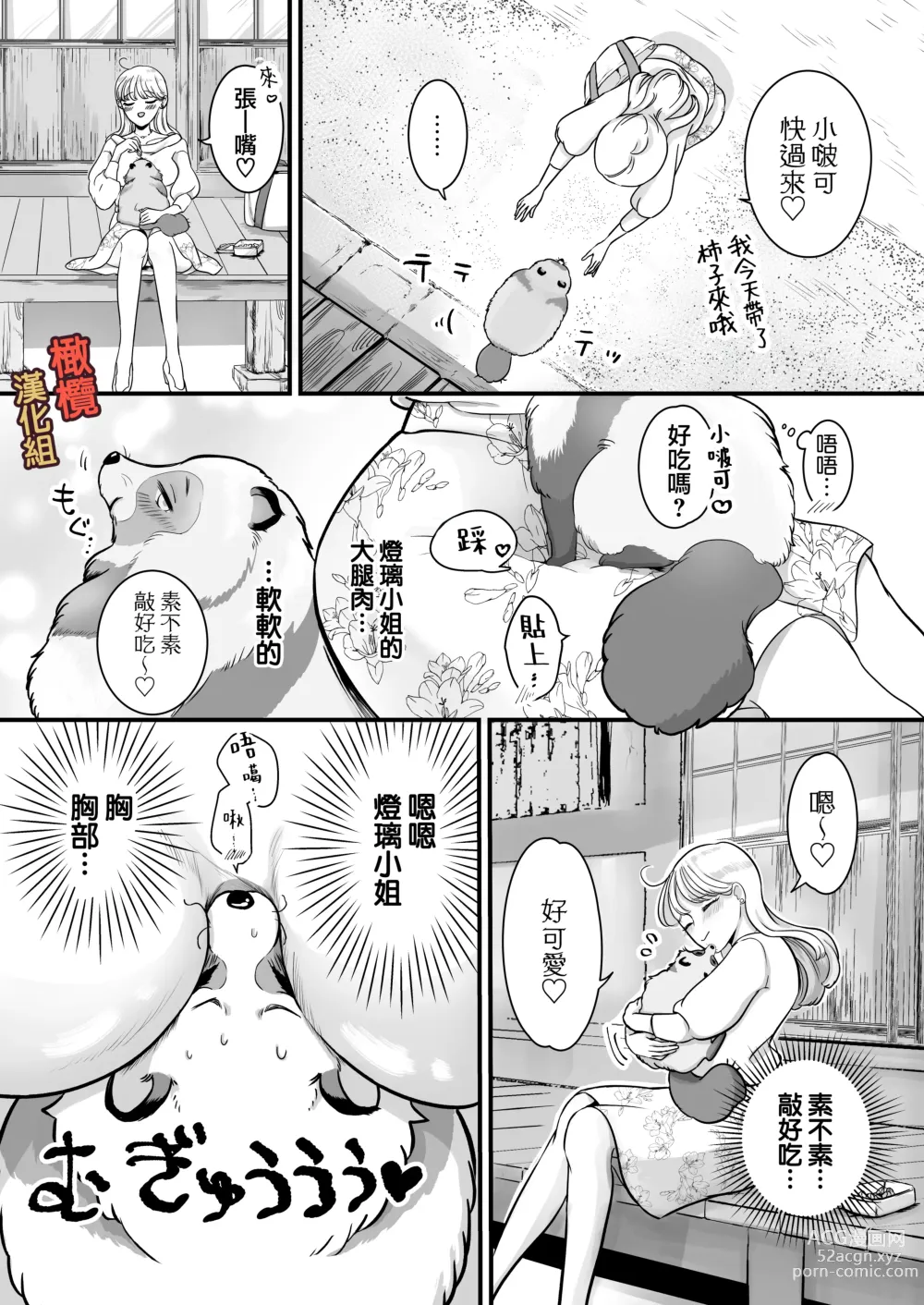 Page 6 of doujinshi supadari jūshoku no yashima-san wa, shitto ni kurutte jirashi-zeme o suru doesuna kemonodeshita｜屋岛先生是完美伴侣也是住持、却因嫉妒而发狂变成了抖S野兽焦躁地向我扑来