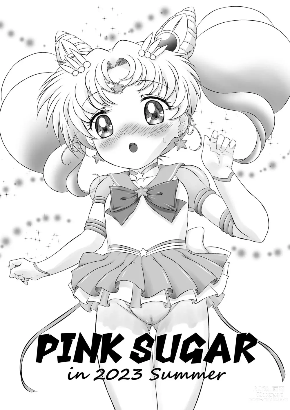 Page 2 of doujinshi PINK SUGAR in 2023 Summer