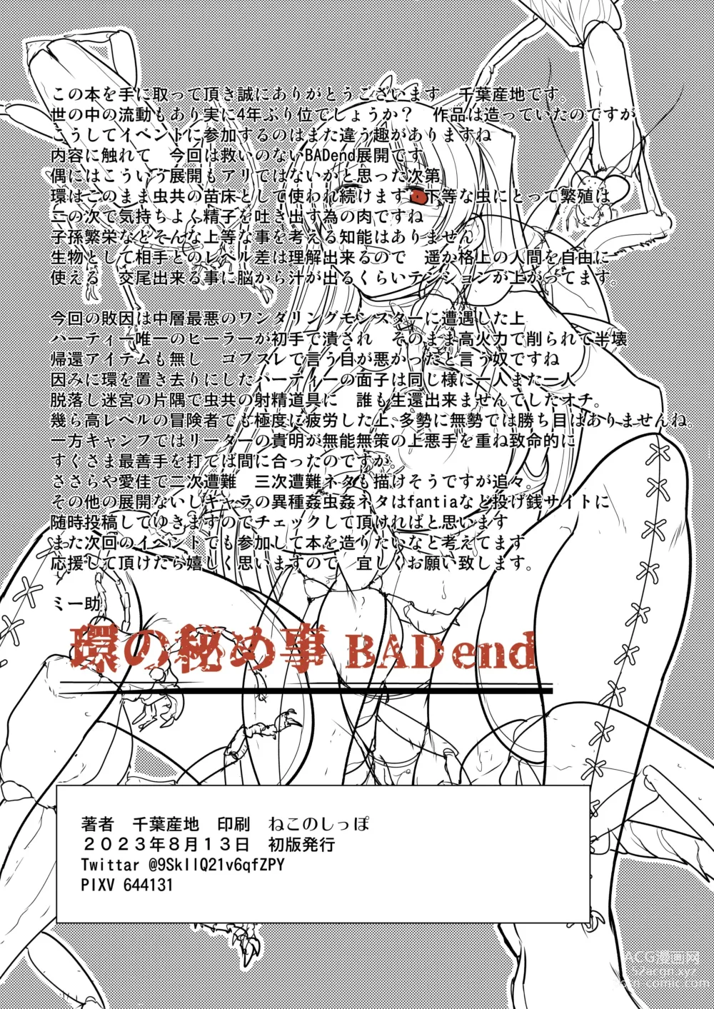 Page 29 of doujinshi Dungeon Travelers - Tamaki no Himegoto BAD end